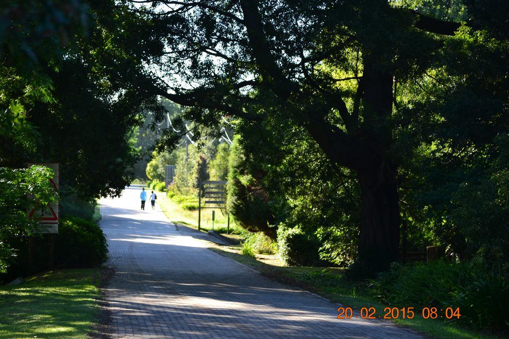Tsitsikhaya Lodge สตอร์มริเวอร์ ภายนอก รูปภาพ
