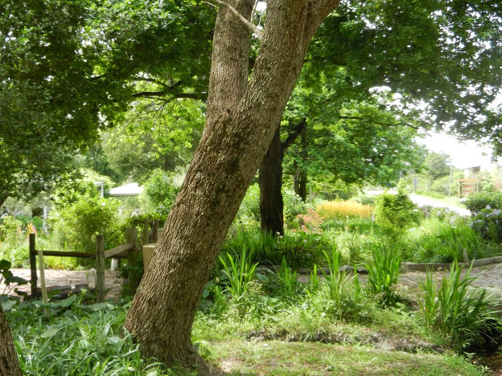 Tsitsikhaya Lodge สตอร์มริเวอร์ ภายนอก รูปภาพ