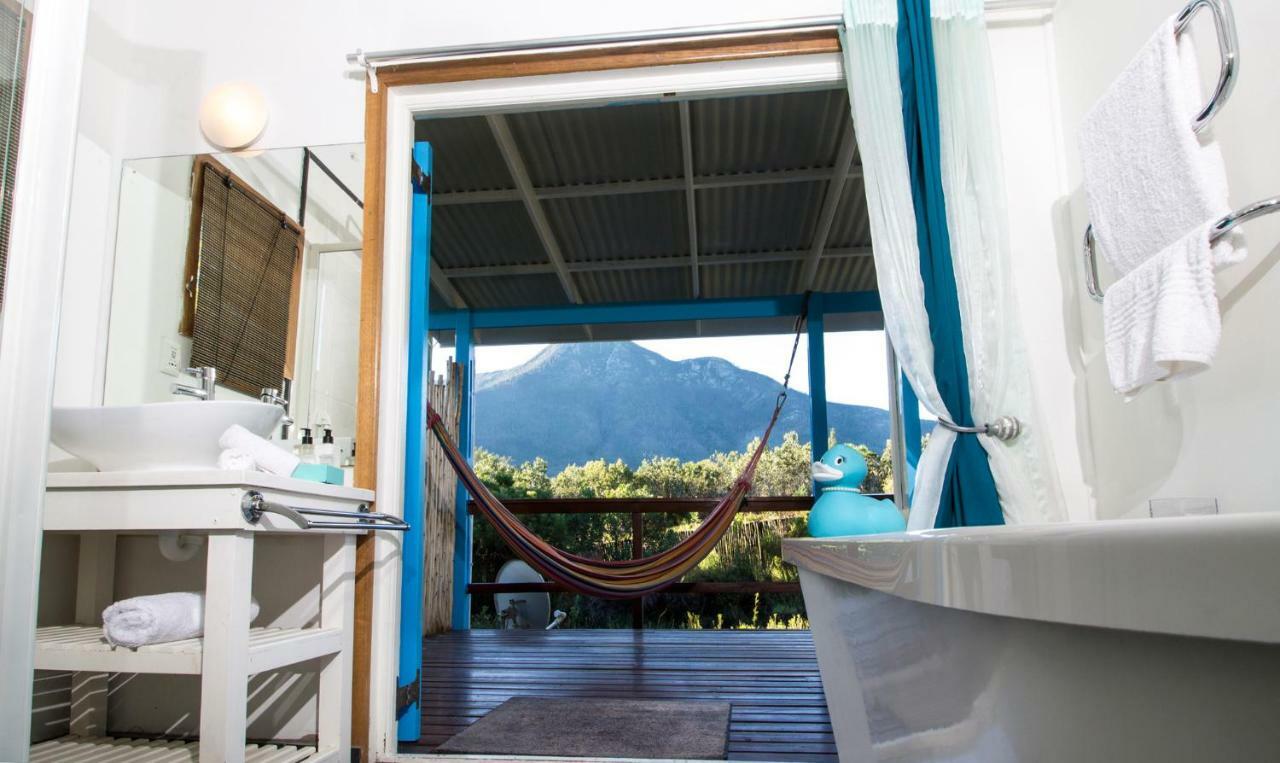 Tsitsikhaya Lodge สตอร์มริเวอร์ ภายนอก รูปภาพ